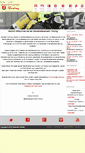 Mobile Screenshot of feuerwehr-toenning.de